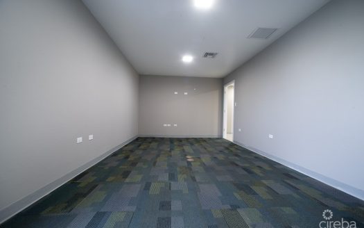 COMMERCIAL OFFICE SPACE PALM GROVE