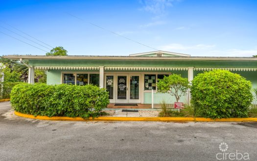 ISLAND VETERINARY SERVICES VET CLINIC AND PROPERTY