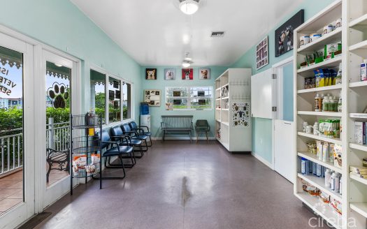 ISLAND VETERINARY SERVICES VET CLINIC AND PROPERTY