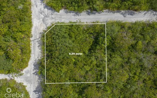 CAYMAN BRAC SELWORTHY GROVE LAND PARCEL