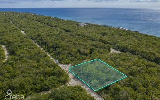 CAYMAN BRAC SELWORTHY GROVE LAND PARCEL