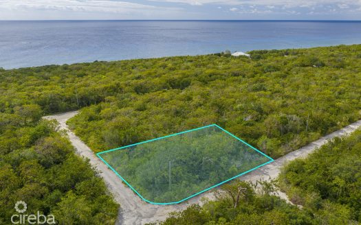 CAYMAN BRAC SELWORTHY GROVE LAND PARCEL