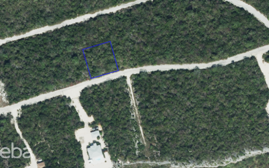 CAYMAN BRAC BLUFF LOT (0.2874 ACRE)