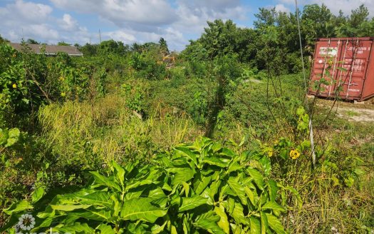 MIDLAND ACRES HOUSE LOT – BRING OFFERS!