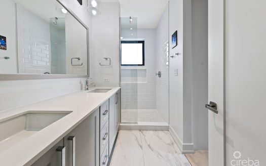 OLEA UNIT 431