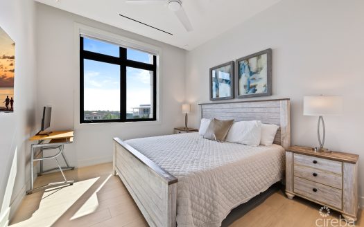 OLEA UNIT 431