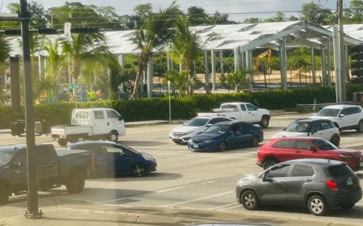 PALM GROVE