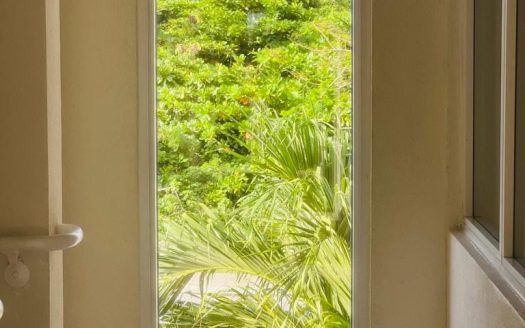 PALM GROVE