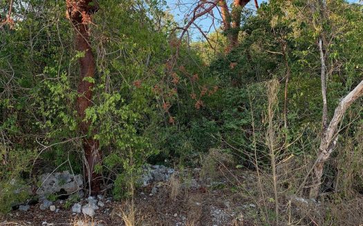 BRAC INLAND PROPERTY WEST END