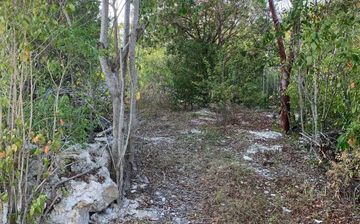 BRAC INLAND PROPERTY WEST END