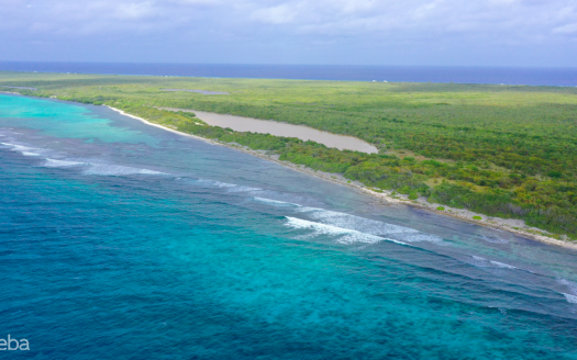 BEACHFRONT LOT LITTLE CAYMAN