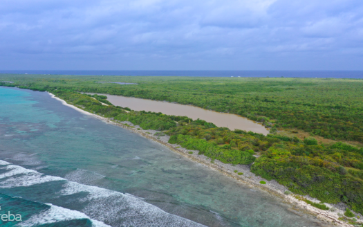 BEACHFRONT LOT LITTLE CAYMAN
