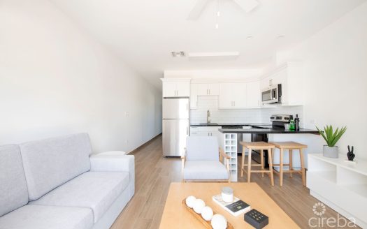 SEA MIST CONDOS UNIT102 – DEVELOPER FINANCING