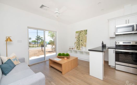 SEA MIST CONDOS UNIT 201 – DEVELOPER FINANCING