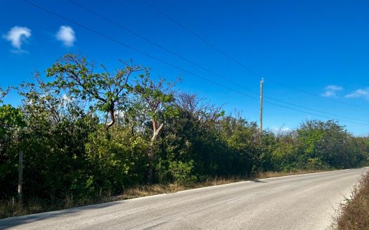 BLUFF LOT WITH FANTASTIC VIEWS