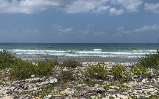 NORTHSIDE OCEAN FRONT AND INLAND PROPERTY