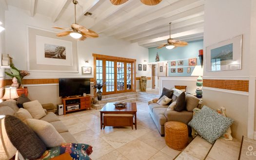 SAVANNAH HOME ON 0.73 ACRE WITH APARTMENT & POOL