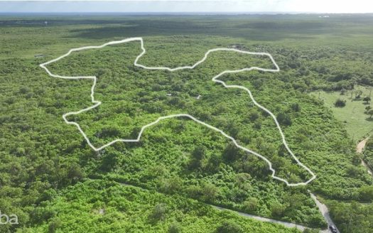 QUEENS HIGHWAY 31 ACRES