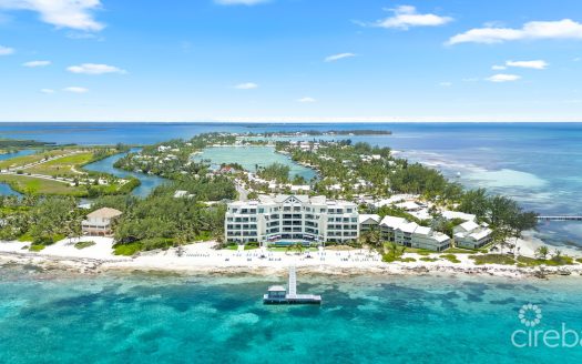 RUM POINT CLUB 305