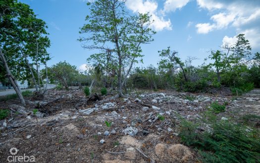 CAYMAN BRAC LAND, RYAN DR.