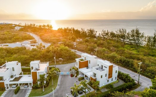 BLUE PALMS #2 – OCEAN VIEWS