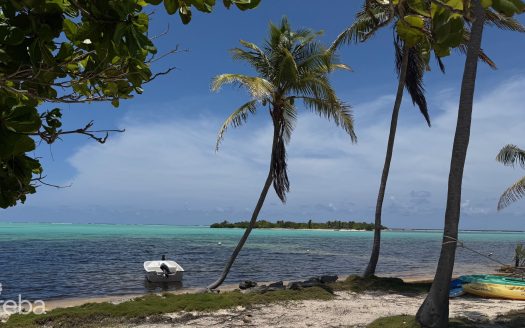 OWEN ISLAND VIEW