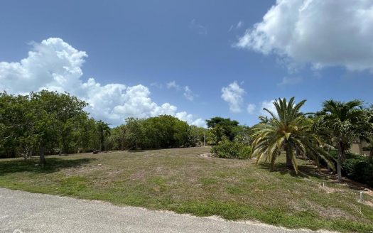 .46 ACRE LOT – FILLED & WELL-MAINTAINED  – LOWER VALLEY