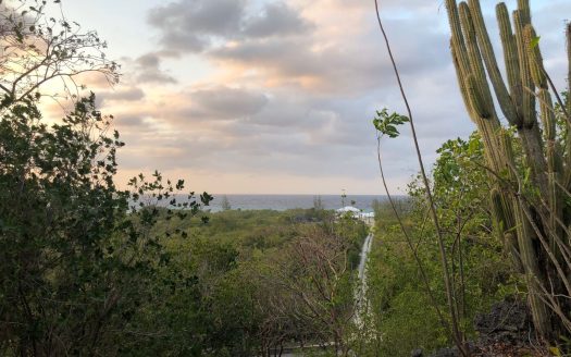 77 POLACK DRIVE, BRAC LAND
