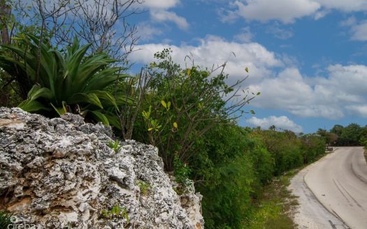77 POLACK DRIVE, BRAC LAND