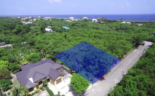 OVERSIZED LOT NEAR MANDARIN HOTEL