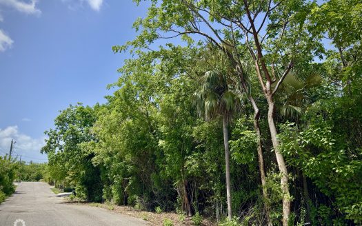 OVERSIZED LOT – BEACH BAY – NATURE’S CIRCLE