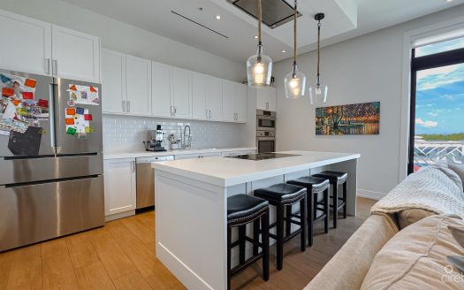 PENTHOUSE OLEA