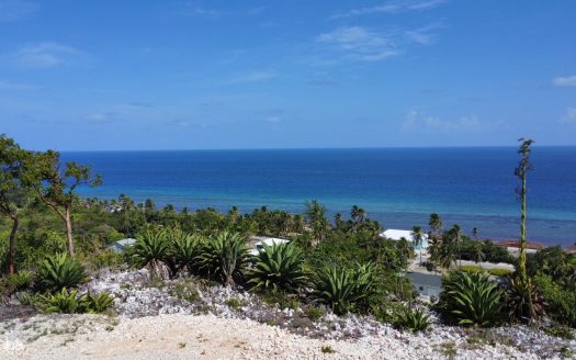 BLUFF LAND – CAYMAN BRAC EAST – LOT #14