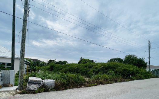 LAND  .28 ACRES – NORTHWARD