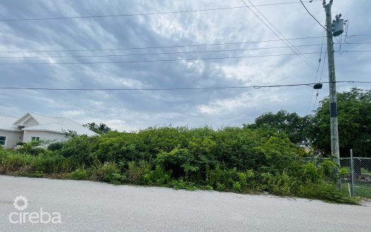 LAND  .28 ACRES – NORTHWARD
