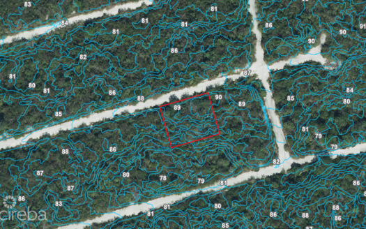 CAYMAN BRAC BLUFF LOT 90′ ELEVATION