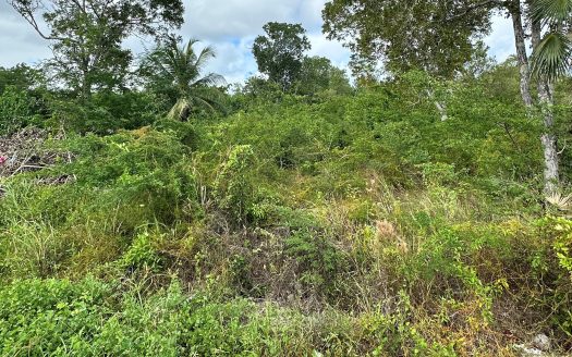 OVERSIZED HOUSE LOT, SERENITY LANE, FRANK SOUND ROAD