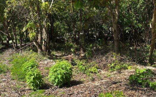 EXCEPTIONAL CORNER LOT IN PRIME CAYMAN BRAC LOCATION – READY TO BUILD
