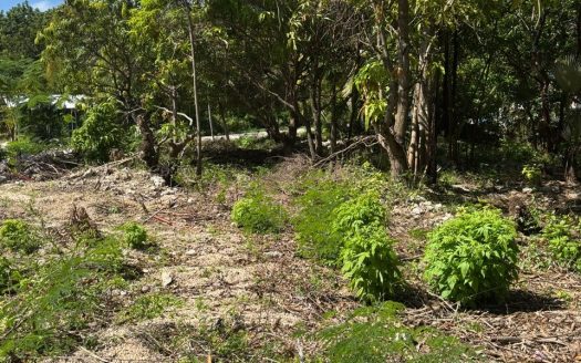 EXCEPTIONAL CORNER LOT IN PRIME CAYMAN BRAC LOCATION – READY TO BUILD