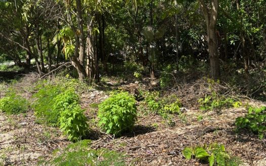 EXCEPTIONAL CORNER LOT IN PRIME CAYMAN BRAC LOCATION – READY TO BUILD