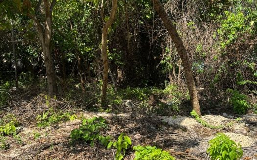 EXCEPTIONAL CORNER LOT IN PRIME CAYMAN BRAC LOCATION – READY TO BUILD