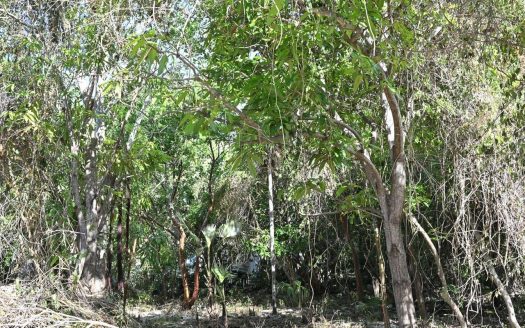 EXCEPTIONAL CORNER LOT IN PRIME CAYMAN BRAC LOCATION – READY TO BUILD