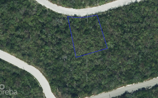 CAYMAN BRAC BLUFF HOUSE LOT (0 .2472 ACRE) 84′ ELEVATION