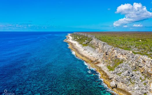 CAYMAN BRAC BLUFF SELWORTHY GROVE LAND LOT