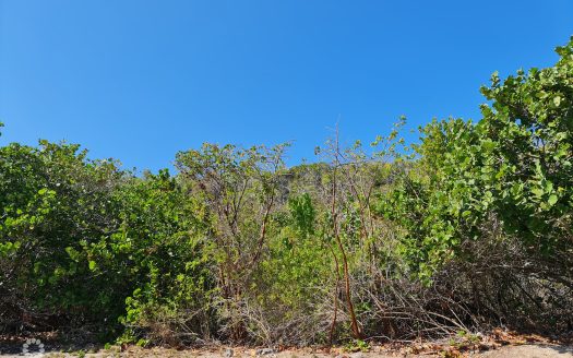 OCEANFRONT VACANT LAND