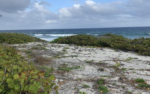 SOUTH SIDE OCEAN FRONT LAND
