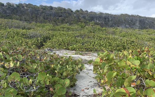 SOUTH SIDE OCEAN FRONT LAND