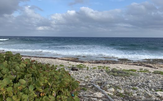 SOUTH SIDE OCEAN FRONT LAND