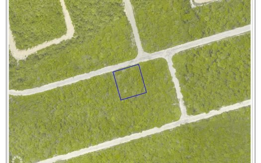 SELWORTHY GROVES LOT, CAYMAN BRAC BLUFF