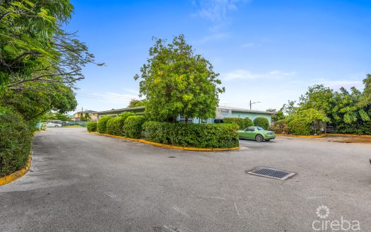 ISLAND VETERINARY SERVICES VET CLINIC AND PROPERTY